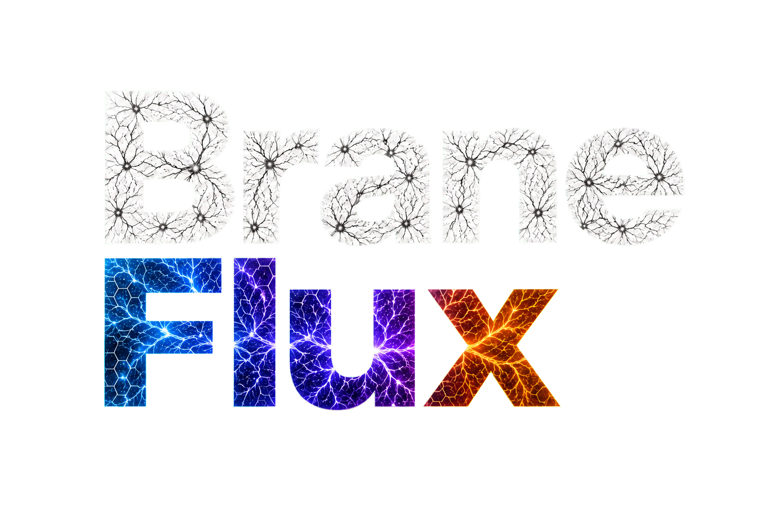 Brane Flux
